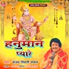 About Hanuman Pyare Song